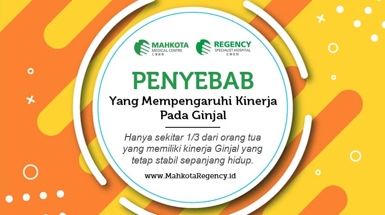 Read more about the article Faktor Yang Mempengaruhi Kinerja Ginjal Tidak Optimal