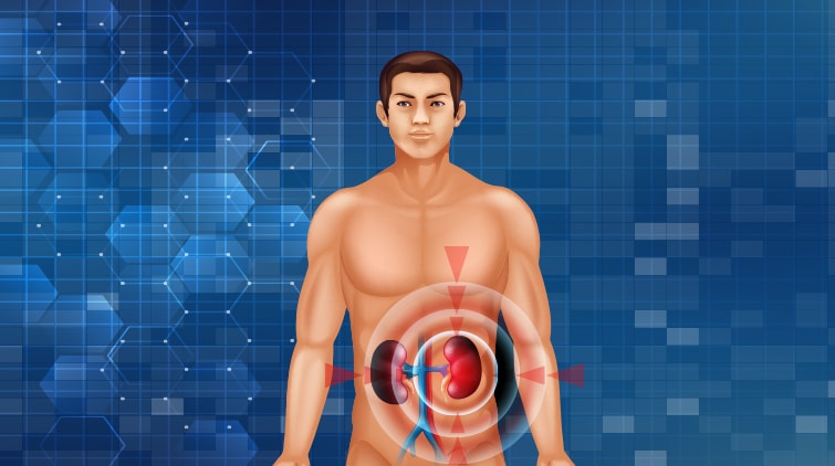 Penyakit Glomerulonefritis: Gejala, Penyebab, Hingga Biaya Pengobatan Di Malaysia